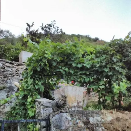Casa Quaratica *