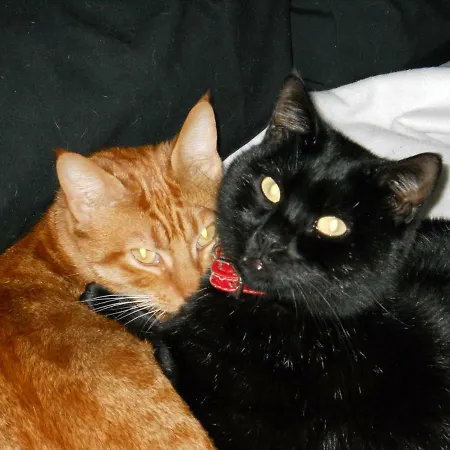 Casa Quaratica Appartamento Riccò del Golfo di Spezia