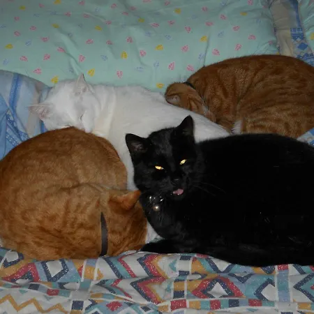 Апартаменты Casa Quaratica